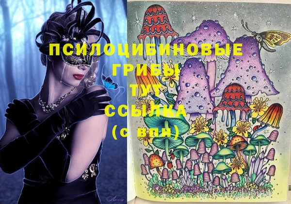 стаф Покачи