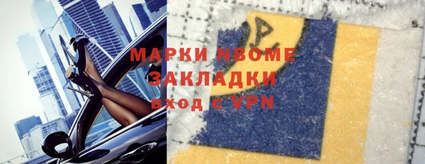 стаф Покачи